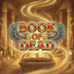 Book of Dead game at Wino Casino for United Kingdom players